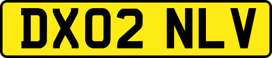 DX02NLV