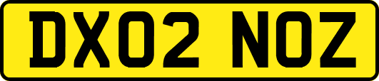 DX02NOZ