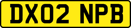 DX02NPB