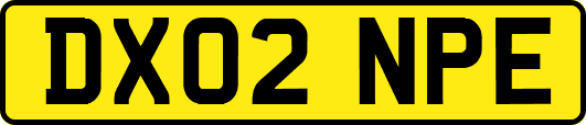 DX02NPE