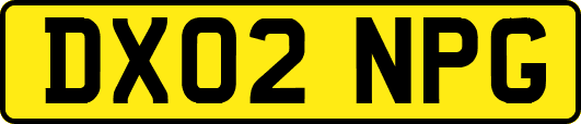 DX02NPG