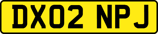 DX02NPJ