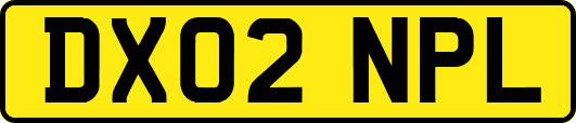 DX02NPL