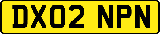 DX02NPN