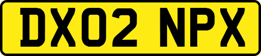 DX02NPX