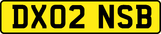 DX02NSB