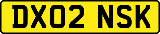 DX02NSK
