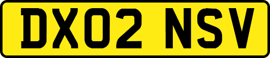 DX02NSV