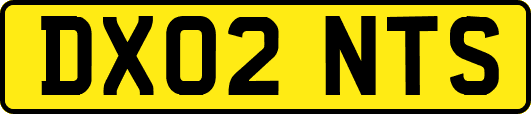 DX02NTS