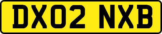 DX02NXB
