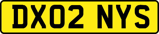 DX02NYS