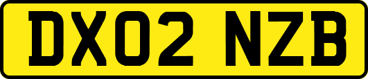 DX02NZB