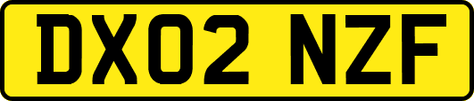 DX02NZF