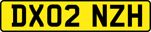 DX02NZH