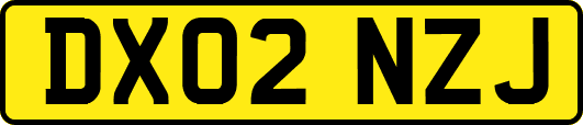 DX02NZJ