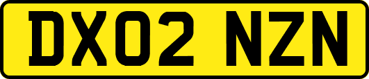 DX02NZN