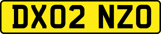DX02NZO