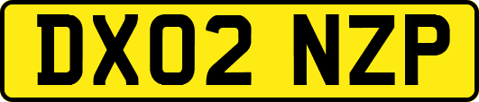 DX02NZP