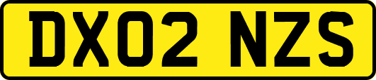 DX02NZS