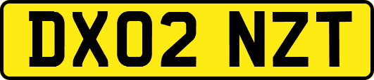 DX02NZT