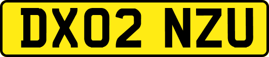 DX02NZU