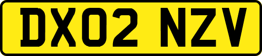 DX02NZV