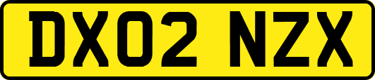 DX02NZX