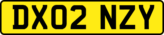 DX02NZY
