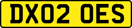 DX02OES