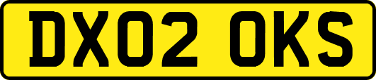 DX02OKS