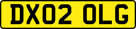 DX02OLG