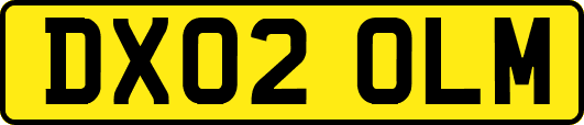 DX02OLM