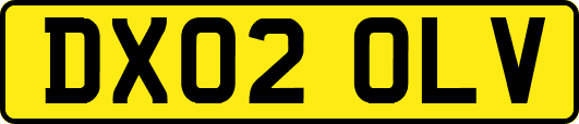 DX02OLV