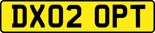DX02OPT