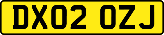 DX02OZJ