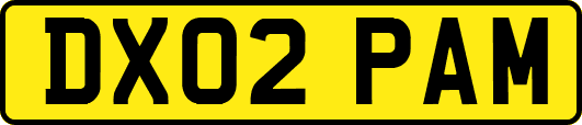 DX02PAM