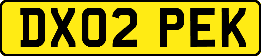 DX02PEK