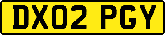 DX02PGY
