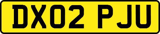 DX02PJU