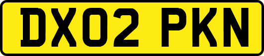 DX02PKN