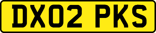 DX02PKS