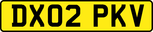 DX02PKV