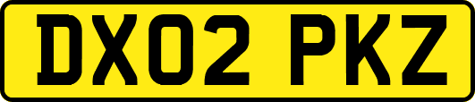 DX02PKZ