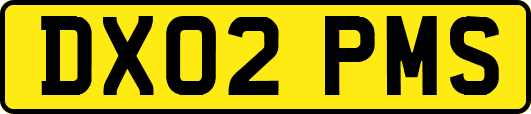DX02PMS