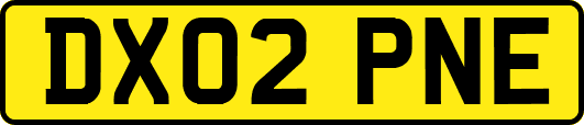 DX02PNE