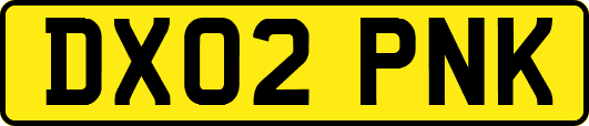 DX02PNK