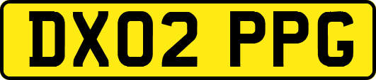 DX02PPG