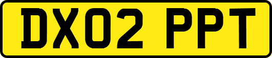 DX02PPT
