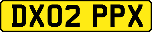 DX02PPX