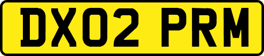 DX02PRM